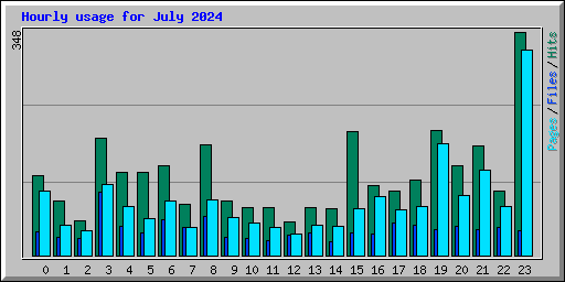 Hourly usage for July 2024