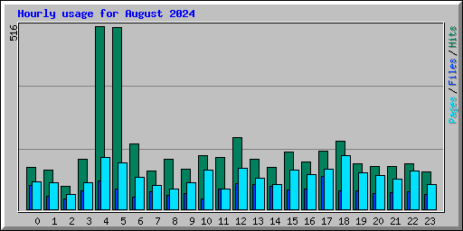 Hourly usage for August 2024