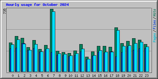 Hourly usage for October 2024