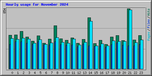 Hourly usage for November 2024