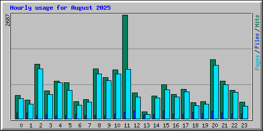 Hourly usage for August 2025