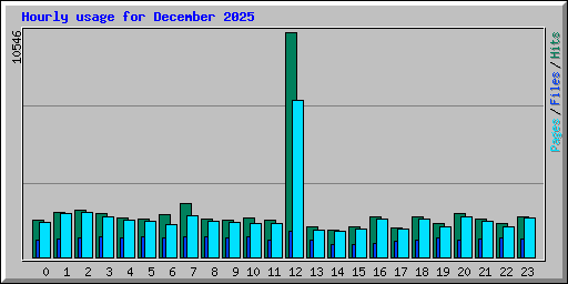 Hourly usage for December 2025