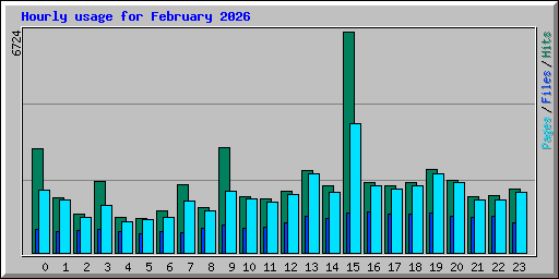 Hourly usage for February 2026