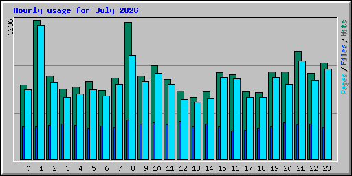 Hourly usage for July 2026
