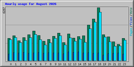 Hourly usage for August 2026