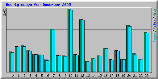 Hourly usage for December 2025