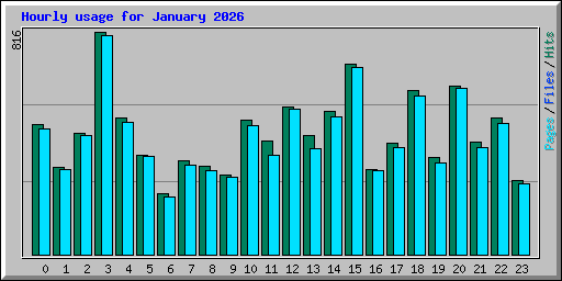Hourly usage for January 2026